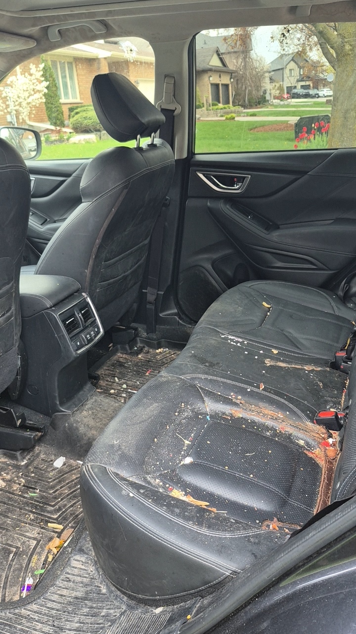 Dirty car exterior before wash — muddy panels and dull paint in overcast outdoor lighting